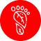 icon2